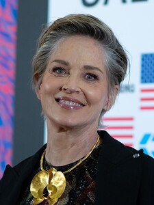 500px Sharon Stone at the United States Embassy Berlin during Berlinale 2024 cropped